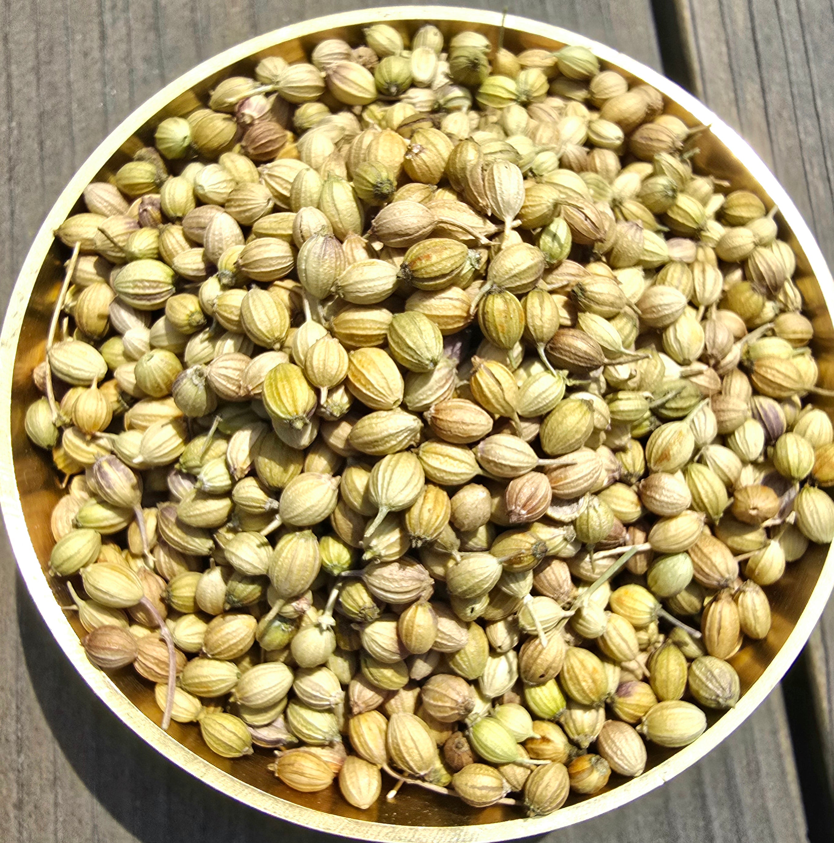 Whole Coriander