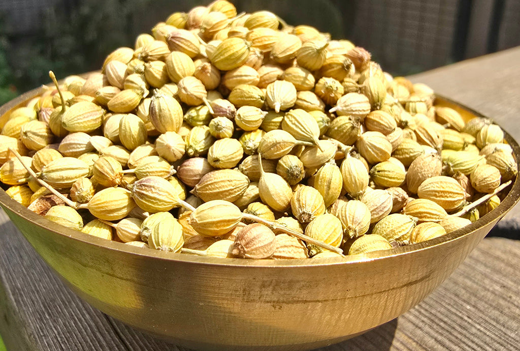 Whole Coriander