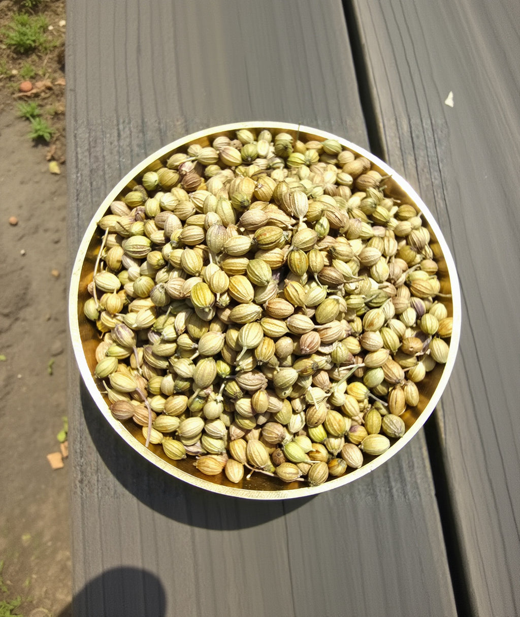 Whole Coriander