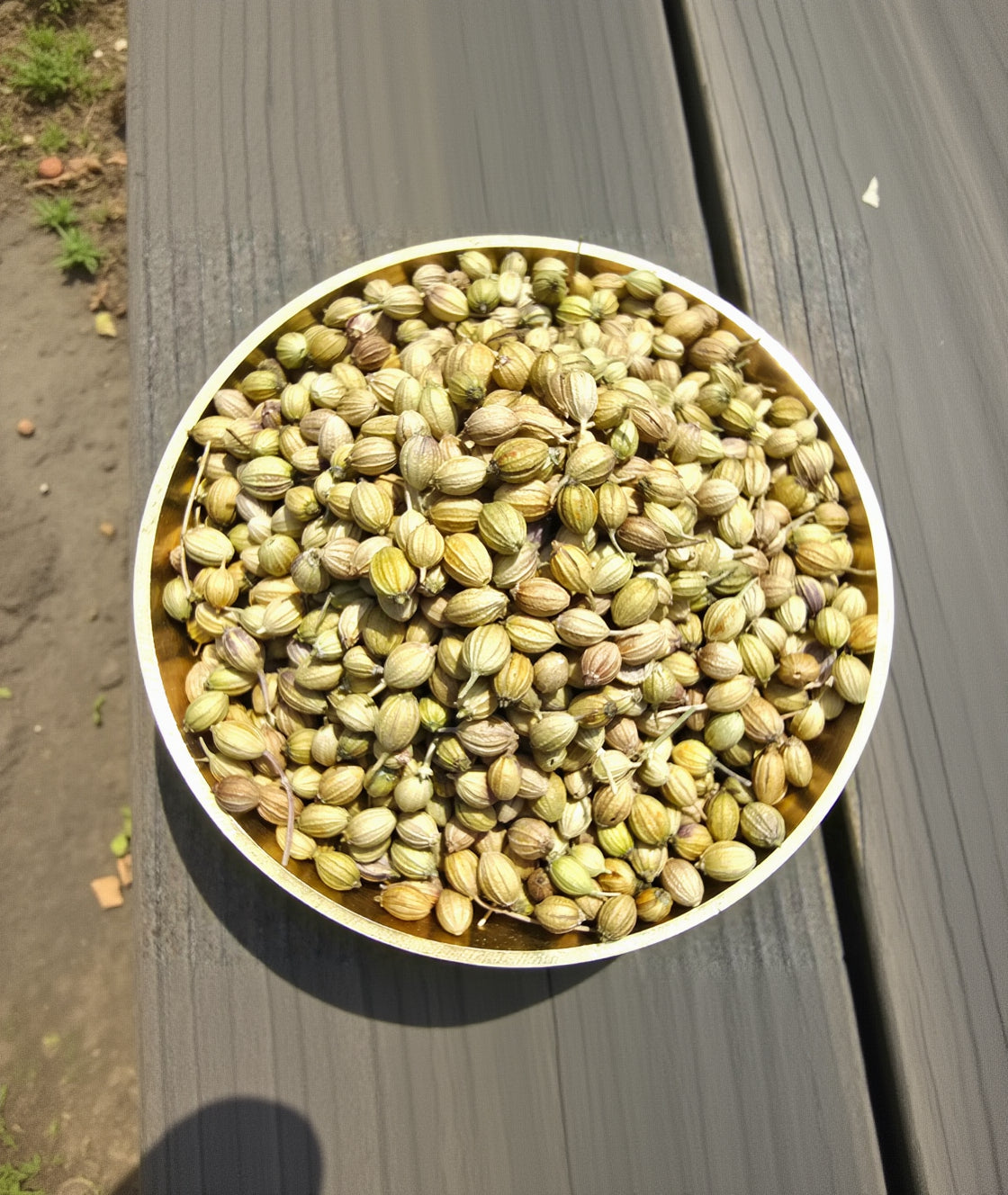 Whole Coriander