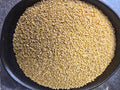Foxtail Millet