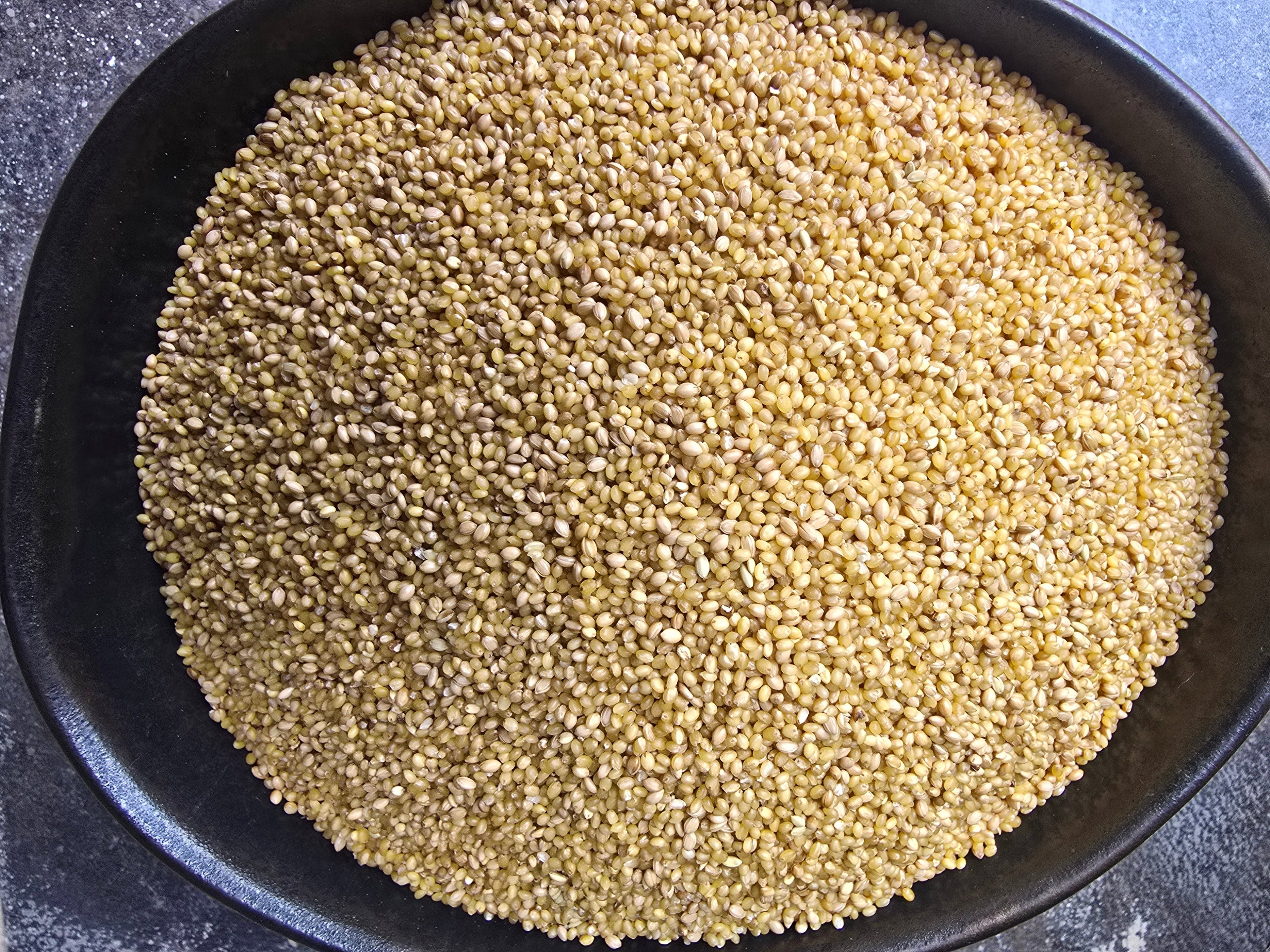 Foxtail Millet
