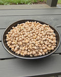 Kabuli Channa