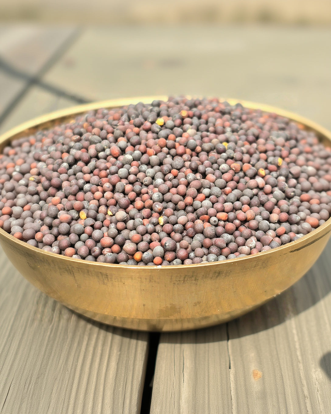 Mustard Seeds