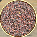 Mustard Seeds