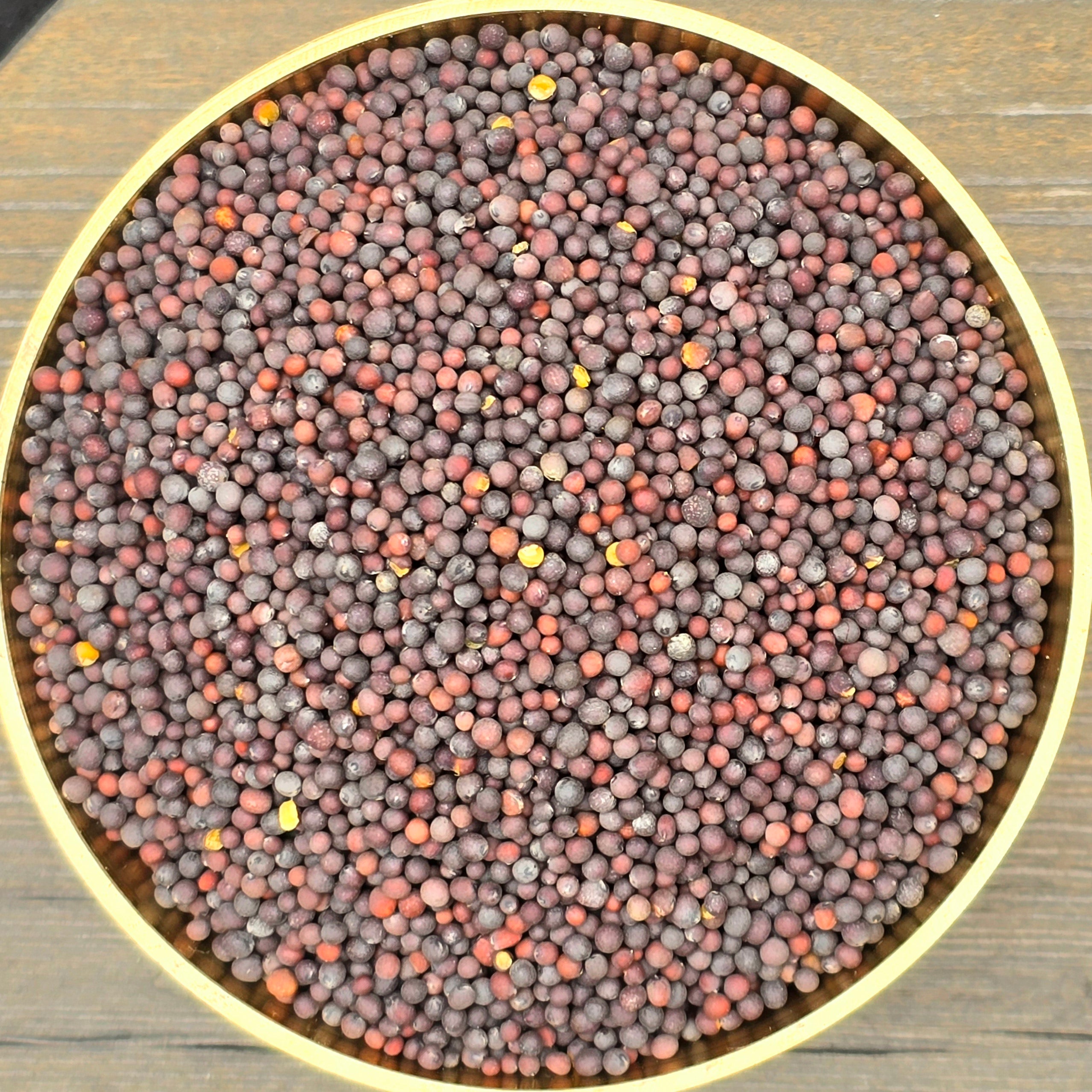 Mustard Seeds