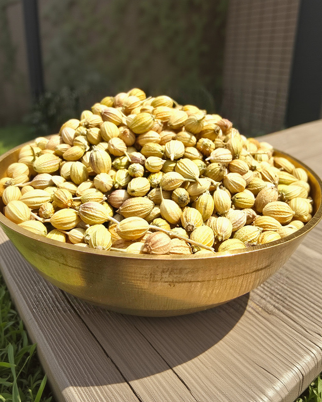 Whole Coriander
