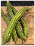 Ridge gourd