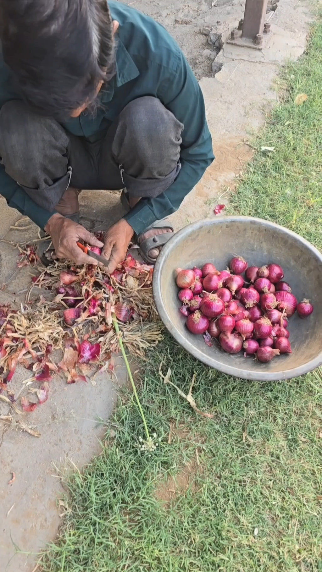 Onion